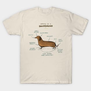 Anatomy of a Dachshund T-Shirt